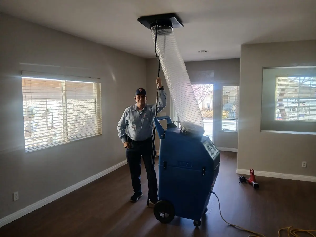 Professional Dryer Vent Cleaning work inside a Union Park home